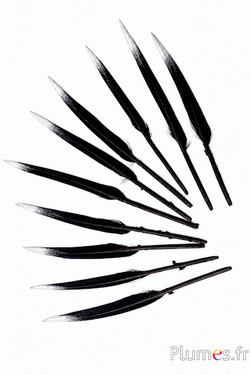 Gans - 5-8 cm - schwarz-silber